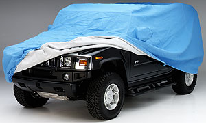 Custom Car Covers