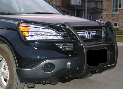 1999 Honda crv brush guard #3