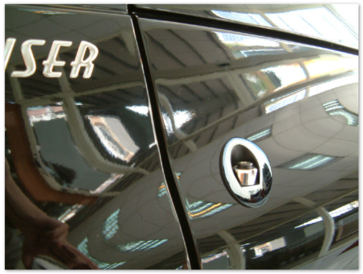 Chrome Antenna Bezel
