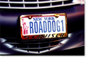 License Plate Frames